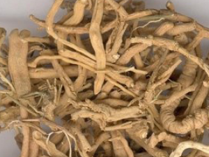 ����С���������ƫ��