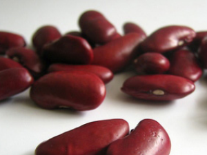 �춹������Ʒ