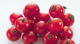 �����������ص�����