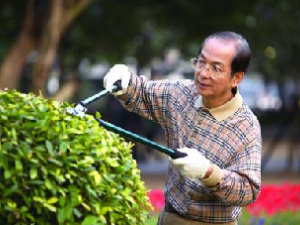 ���˳��� ��������������