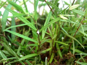 �׻�����ݵĹ�Ч������