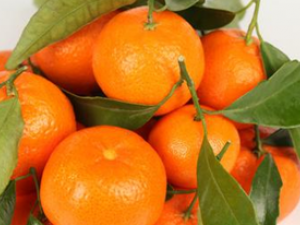 �����ӵ�����