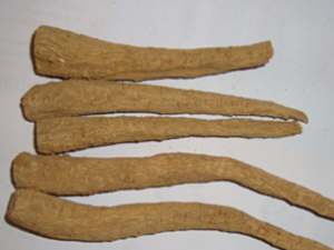 �纮��ð��ͷ�ۿ��ô�ܺ���ɢ