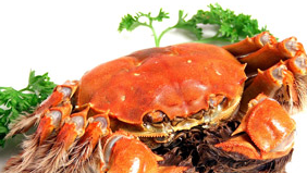 ��բз������ô�죿