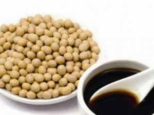 ������ð����ʳ���ܲ�