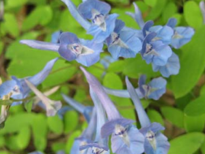 �Ӻ����Ĺ�Ч������