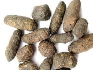 ����֬�Ĺ�Ч������