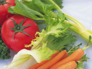 ���Ƹ�Ӳ������ʳ�Ʒ�