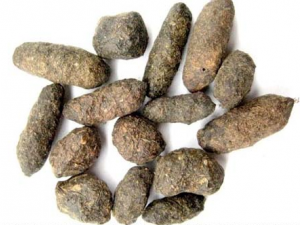 ����֬�Ĺ�Ч