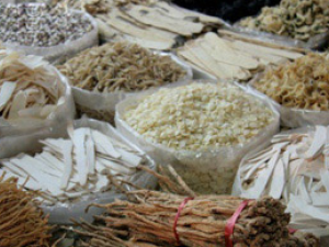 ����ӻ�˥�������ѳ���˥��