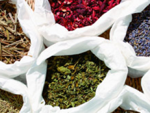 ��ҽ�������ë���ף�