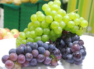 ���ѵ�Ӫ����ֵ