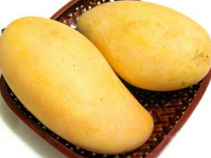 â��������