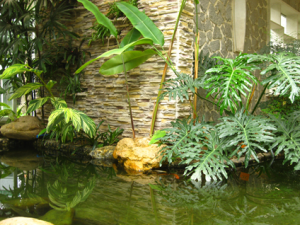 ����ҩ�����п��ܲ���������