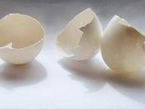 �����ǵ�����