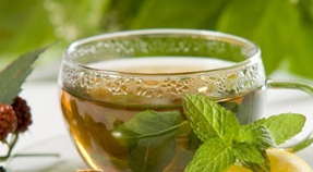 ������ҽ��ֹ��ҩ��