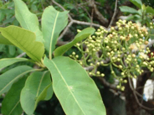 ˮ�̻��Ĺ�Ч������