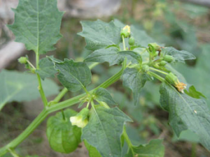 ˮ�����ݵĹ���������