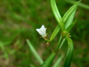 �׻�����ݵĹ�Ч