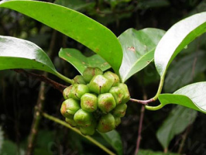 ���ϻ��Ĺ�Ч������