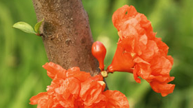 ʯ����˽�Ƣ���