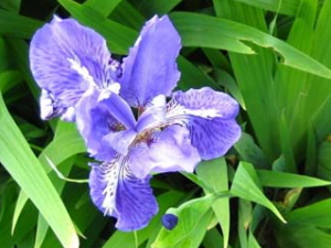 �β�Ĺ�Ч������