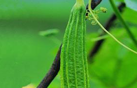 �ļ�����˿�ϵĺô�