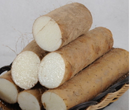 ɽҩ�ǲˣ�Ҳ��ҩ