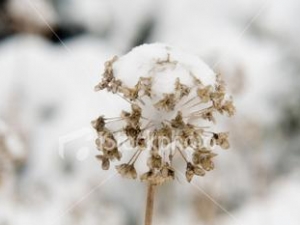 �����ú��������