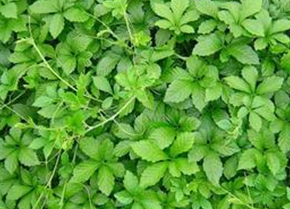 �ʹ����Ĺ�Ч������