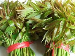 �㴻��Ӫ����ֵ