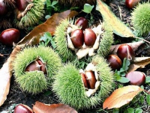 ǧ��֮����������