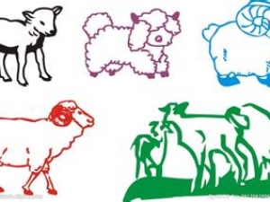 ��˵˵�������ĳԷ�