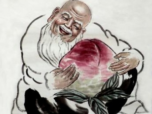 �����̶��������١�