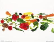  ��Ȼ��֬ҩ�����͡�