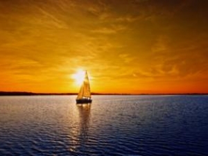 ����;��Ӧ����������