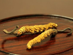 �̵㳣����ҩ������