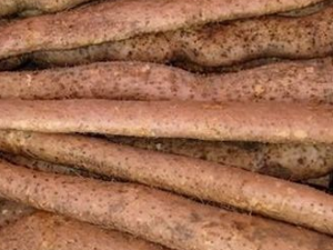 ������ҩ�ĸ�����