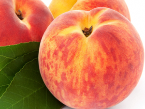 �ļ����ҿ�����