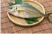 ��ȫ�����Ǳ�