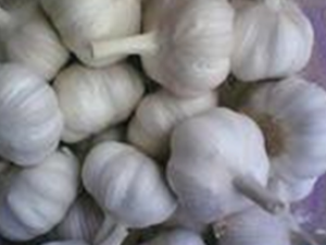 �����ҩ�ü�ֵ