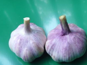 ��������ʳ������