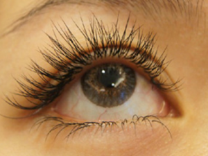 �����ݽ��������������