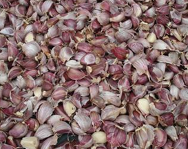 ���ڷ�����ʳ���ط�