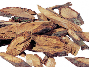 �ػ����ӵĶ�����;