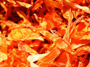 ������ҩ������