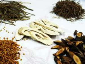 ��ҽ����ҩ