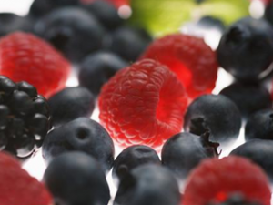 ��֦�Ĺ�Ч������