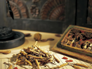 ��ҩ�������ǻ����