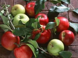 ����ˮ����Ӫ����ʳ������